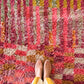 Tapis Beni Ouarain coloré (1294) 287x196cm - Fairy Garden
