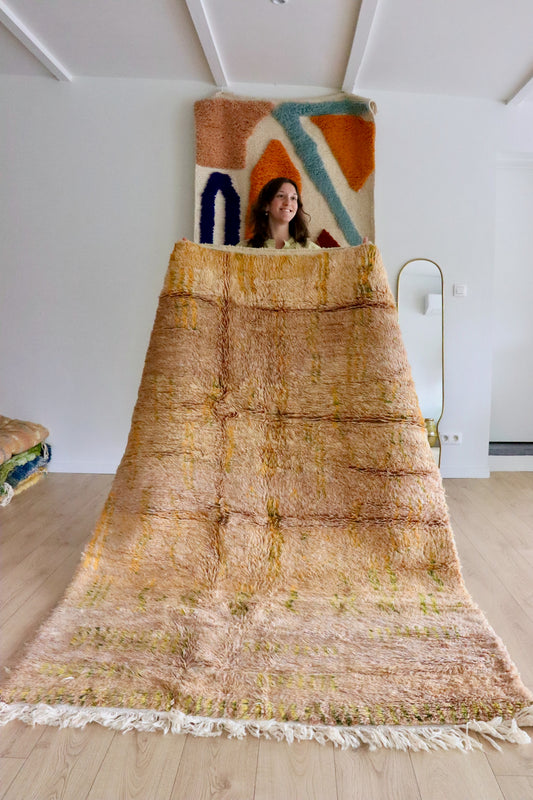 Beni Ouarain Moroccan Colorful Rug (983) 240x155 - Desert Life