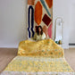 Beni Ouarain Moroccan Colorful Rug (982) 250x170 - Lemon Juice