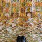 Tapis Beni Ouarain coloré (958) 227x152cm - Arch