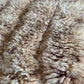 Beni Ouarain Moroccan Colorful Rug (975) 340x250 - Dawn