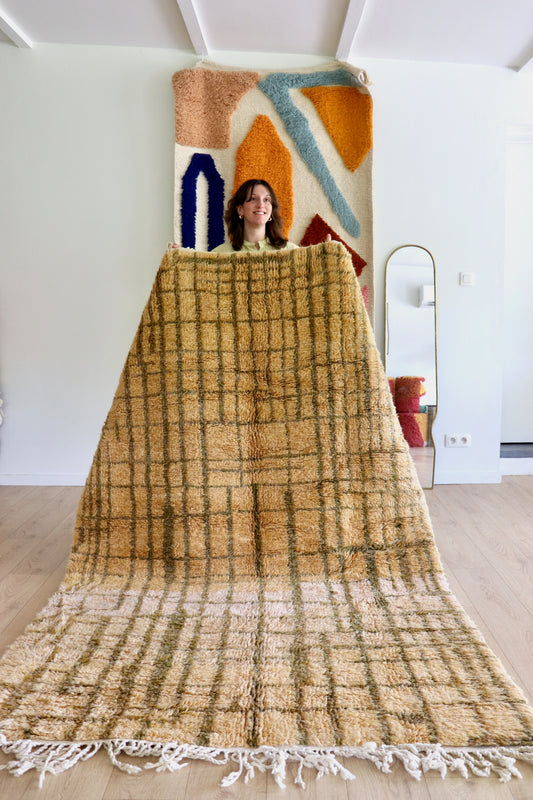 Beni Ouarain Moroccan Colorful Rug (1212) 255x155cm - Afternoon in the Garden