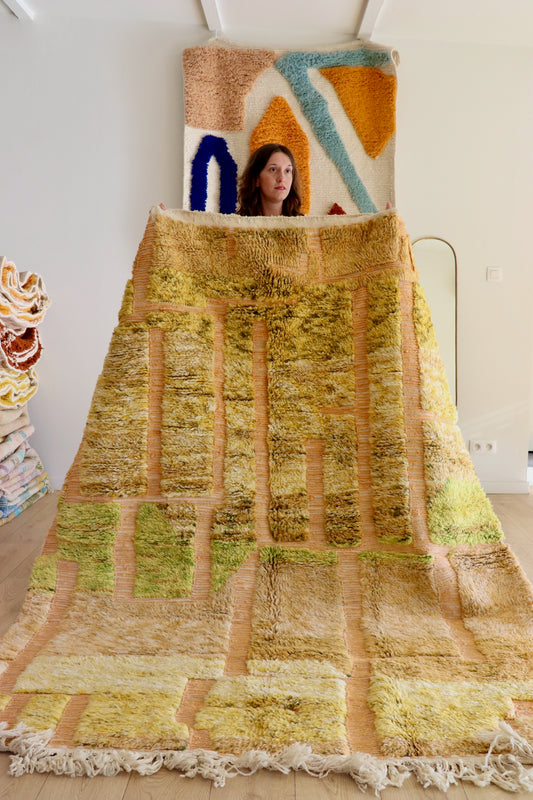 Tapis Beni Ouarain coloré (957) 237x176cm - Terra