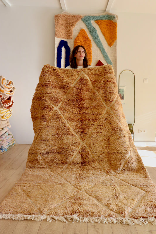 Tapis Beni Ouarain coloré (944) 244x164cm - Coconut