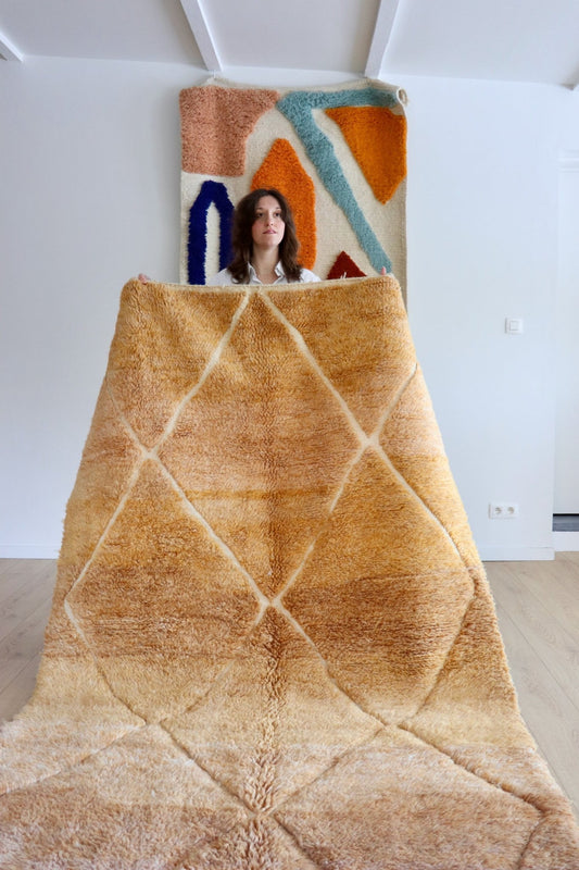 Beni Ouarain Moroccan Colorful Rug (1050) 252x157cm - Sunny - Tree of Colors