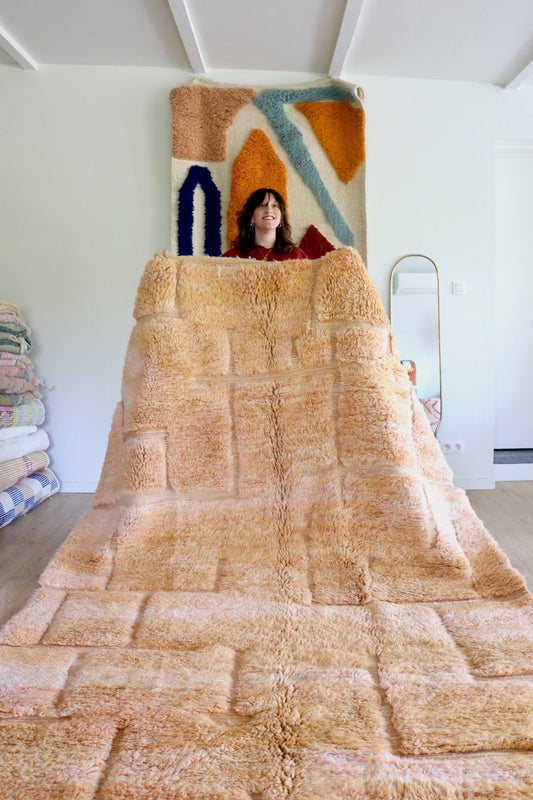 Beni Ouarain Moroccan Colorful Rug (1140) 298x200cm - Lumière - Tree of Colors