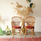 Set of 2 authentic 60's Audoux - Minet rattan chairs - Tree of Colors